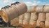 The Haukaas rotating grapple is expected to reach the marketplace this year. The grapple can gather bales in the field, bale yard or from the trailer and then, with a hydraulically powered rotation, land them in the upright position for mushroom stacking. | Greg Haukaas photo