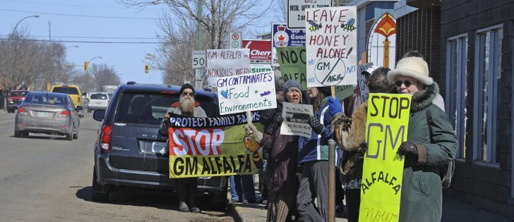 About 20 farmers and supporters rallied outside Federal Agriculture Minister Gerry Ritz's office in North Battleford, Sask., April 9 to protest against the possible introduction of genetically modified alfalfa in Canada. William DeKay photo