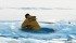 A quick-thinking farmer managed to pull himself free from his tractor after it plunged through thin ice and sank to the bottom of a lake. | Photo illustration by Michelle Houlden