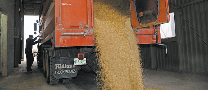 With all indications that new crop grain prices will be lower than current old crop prices, there is strong incentive to sell the remainder of the 2012 crop before harvest.  |  File photo