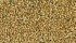 While hard red winter wheat is higher yielding, hard red spring wheat carried a premium under CWB single desk marketing. | USDA photo