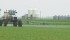 Sulfoxaflor is a new category of chemical approved for fruit, vegetables, soybeans, barley and canola. Some beekeepers are concerned about its effects on bees. | File photo