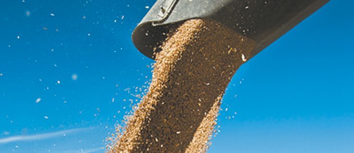 A record world wheat crop and the potential for strong competition among global exporters could weaken wheat prices.  |  File photo