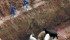 Police sharpshooters destroy livestock infected with foot-and-mouth disease in a pit in the southern state of Rio Grande do Sul, Brazil on May 17, 2001. Widespread livestock eradication has been the usual response to FMD outbreaks in the past. | Reuters photo