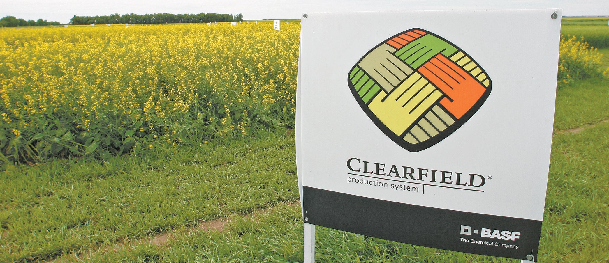 This photo could go with the Clearfield New Product.