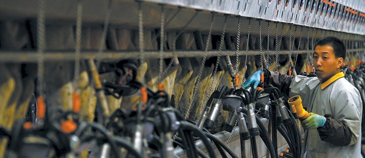 China’s dairy farms could increase the country’s milk production by 7.2 million kilograms per day by including canola meal into feed rations.  |   Reuters photo