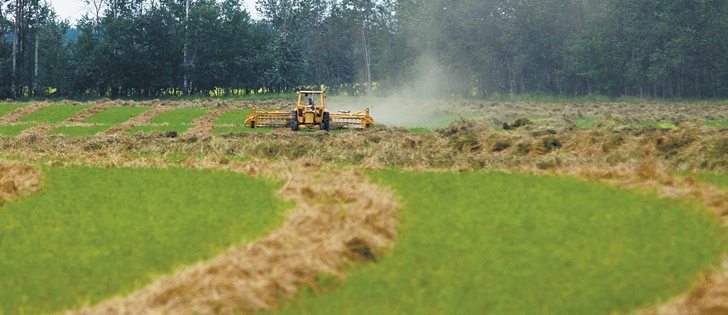 Cattle producers say forages are critical to their productivity and profitability.  |  File photo