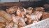 The proposed code of practice for hog producers includes recommendations and requirements on pain control and housing. | File photo
