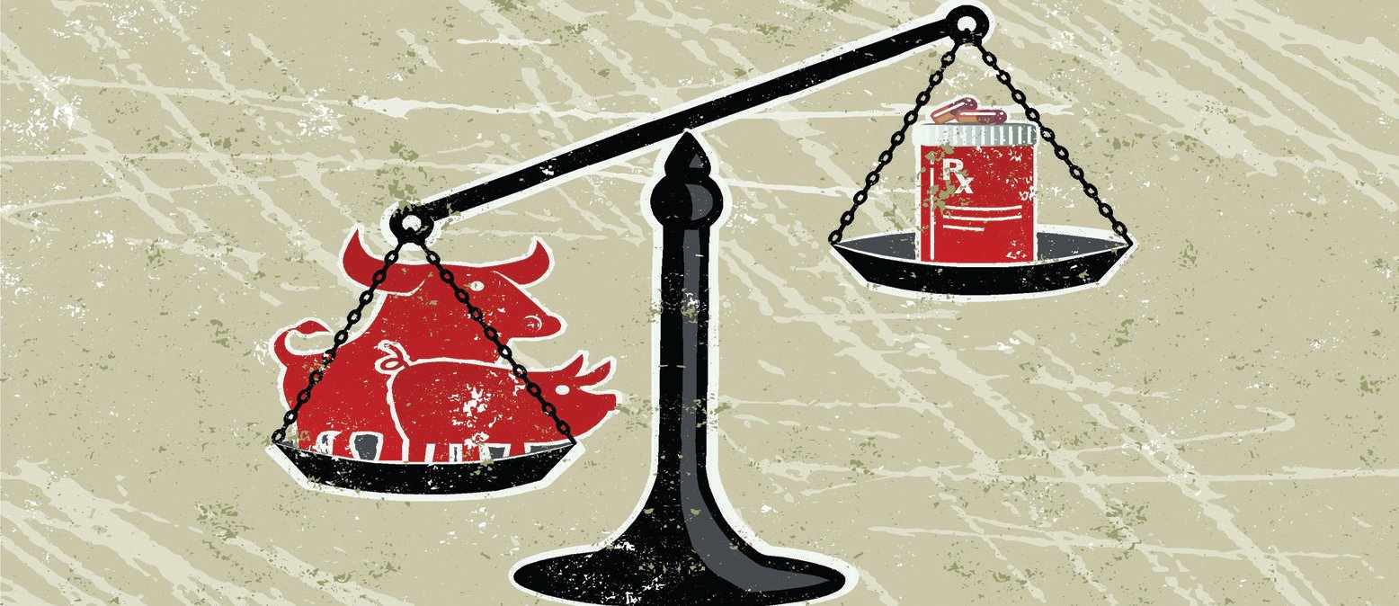 It is wrong for Canada to trade access to European beef and pork markets for changes to pharmaceutical patents, says the author. | Michelle Houlden illustration