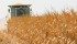 Prices for new crop corn, soybean and wheat all fell in the wake of the United States Department of Agriculture report last week. | File photo