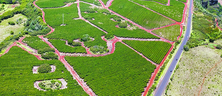 Many countries have the potential to expand arable farmland and help meet food demand. 