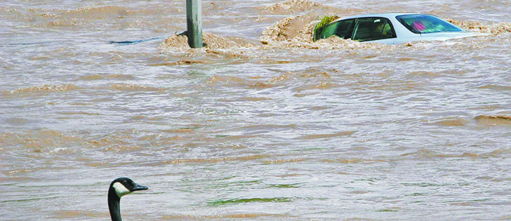 Canmore, High River and Calgary residents seek information on provincial and federal recovery programs as floodwaters begin to recede. 