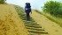 Hiking trails take visitors up the steep sand dunes and wind through the forest. | Arlene and Robin Karpan photos
