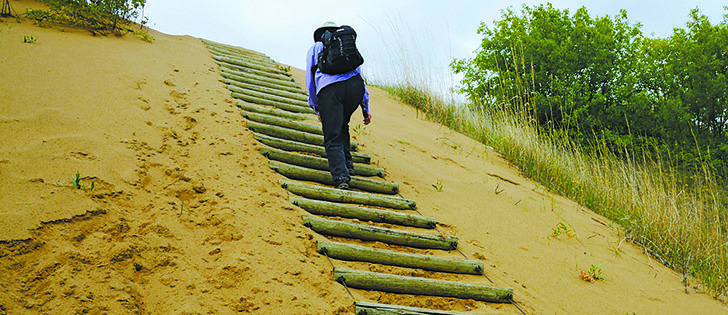  Hiking trails take visitors up the steep sand dunes and wind through the forest.  |  Arlene and Robin Karpan photos