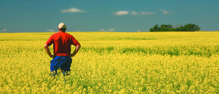 There are many barriers to entry faced by new farmers and new generations of farm families.
