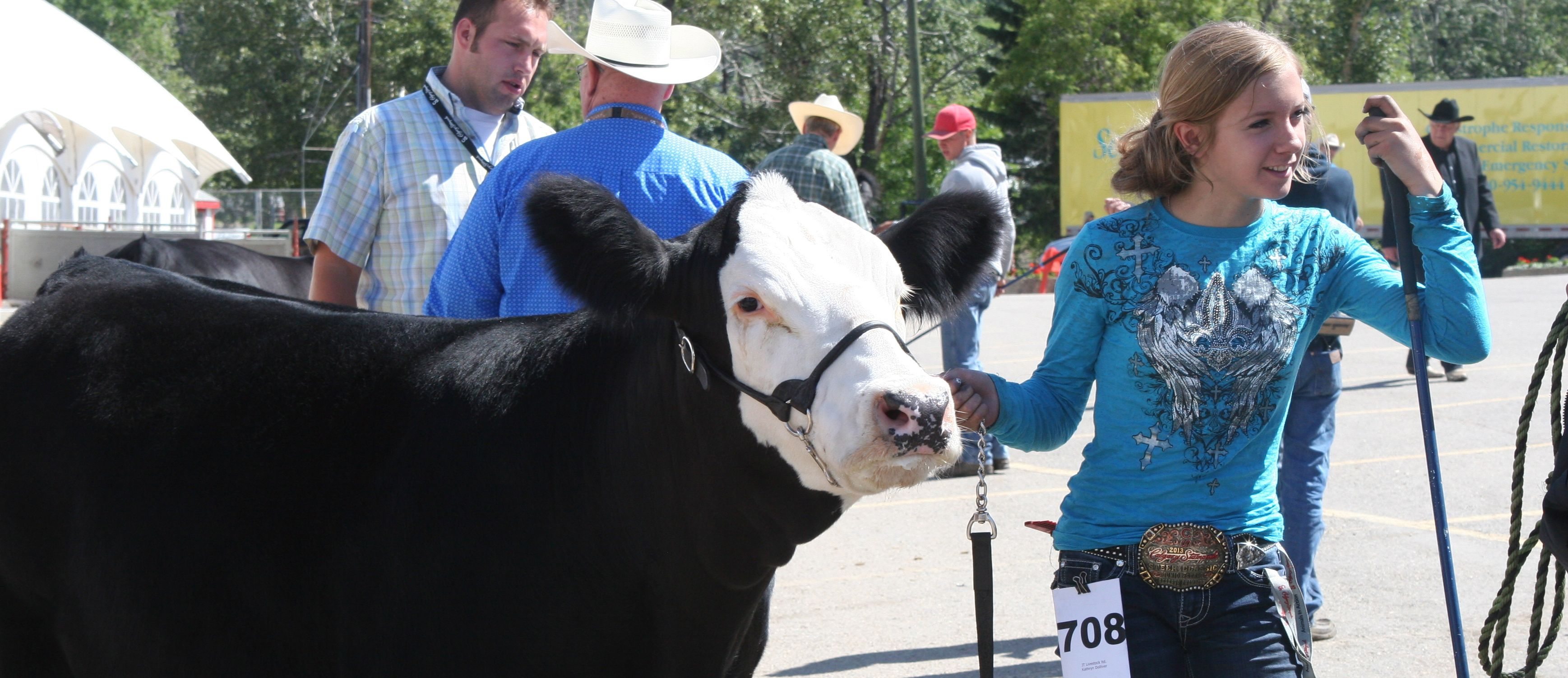 Kathryn Dolliver of Stettler was a major winner at the Stampede livestock shows. She won the supreme champion purebred female with a Simmental cow at Summer Syngergy, won grand champion market heifer (pictured) at the Stampede heifer show and won reserve grand champion junior steer. | Barbara Duckworth photo