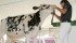 This Holstein heifer born in September 2012 sold for $265,000 at the Rocky Mountain Holsteins sale held July 9 at the farm at Cochrane, Alta. The buyer was Jim Stanton of Ilderton, Ont. Stanton also bought a full sister to this female for $95,000. | Barbara Duckworth photo