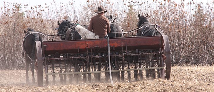 The Western Producer will be publishing stories readers have submitted about marriages that came about through WP personal ads, relationships formed through pen-pals found in the classifieds and people scraping together a little money during hard times to buy a paper. 