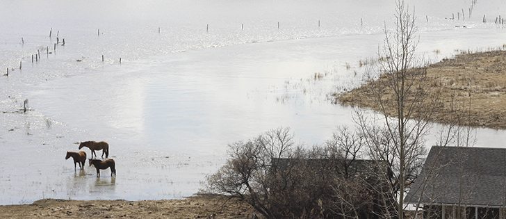 Land around "permanent water bodies" are not eligible for unseeded acre coverage through Saskatchewan Crop Insurance Corp. 