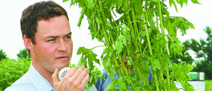 Scott Chalmers shows a rarely seen giant ragweed plant to people attending the Westman Agricultural Diversification Organization field day held near Melita, Man., July 30.  |  Robert Arnason photo