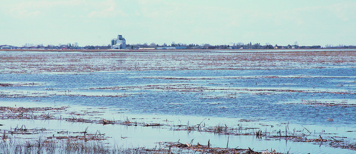 Safety net programs are vital for farmers facing difficult times due to natural disasters or market crashes, says the author. 