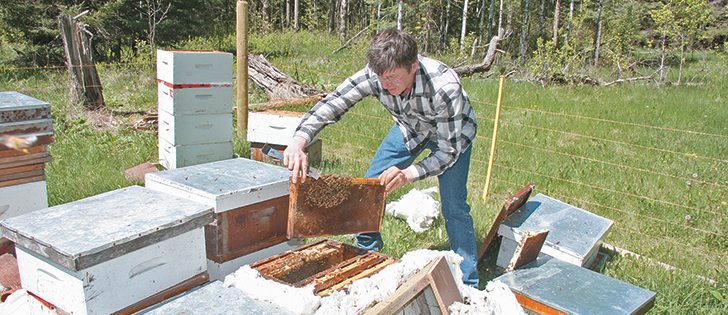 Jack Lee hopes to expand his hives in a few years.
