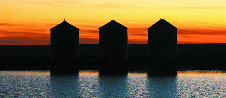 Cool grain, then dry it slowly, preferably at night. | Robin Booker, photo.