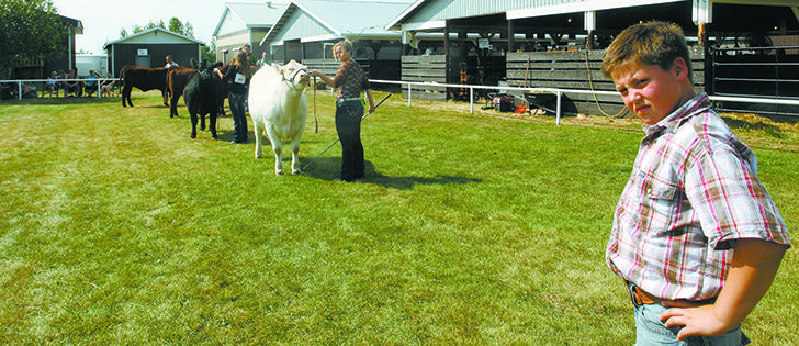 Jed Curtis of Forestburg, Alta., listens to the judge’s comments at the Junior All Breeds show in Bashaw, Alta. Curtis and his partner, Heide Tymko of St. Paul, Alta., acted as ring man and judge for a class at the show.  |  Mary MacArthur photos