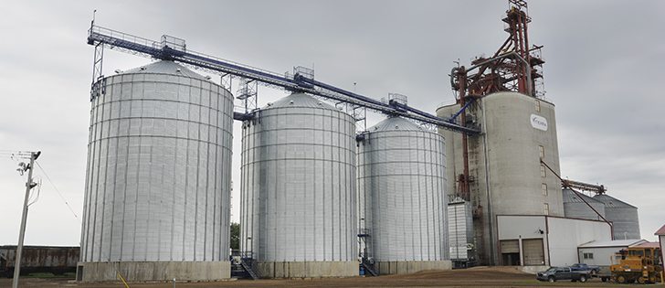 The trains ran on time, new players entered the market, and the political rancor subsided the first year of the open market in CWB grains.