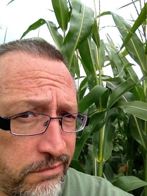 Lies, damned lies, damnable weather averages and farming