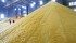 Cattle feeding programs are based on 10 percent fat dried distillers grain, so cattle producers will need to determine how to adjust rations. This DDG was photographed at the Lincolnway Energy ethanol plant in Nevada, Iowa, in 2010. | File photo