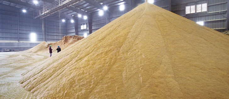 Cattle feeding programs are based on 10 percent fat dried distillers grain, so cattle producers will need to determine how to adjust rations. This DDG was photographed at the Lincolnway Energy ethanol plant in Nevada, Iowa, in 2010. |  File photo