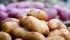 Canadian potato growers planted 12,000 fewer acres this year. | file photo