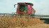 Strong Chinese demand could be an important factor in pea markets this year. | file photo