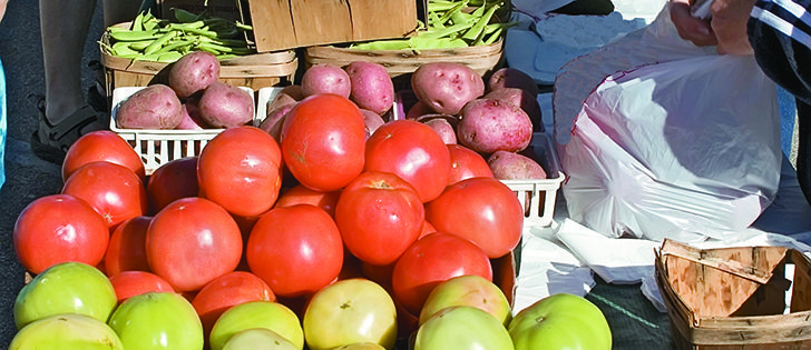 No one should be assuming that local, small-scale and organic food is any safer than mainstream food, say food safety experts. | file photo