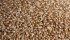 Acquiring a network of grain handling facilities is an ambitious and costly strategy of the CWB that could require tens, if not hundreds of millions of dollars worth of investment capital.