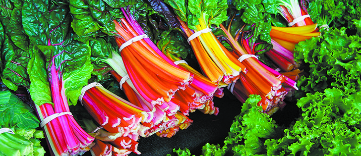 Colourful stemmed Swiss chard can be enjoyed in a variety of ways from a stir fry to pickles.   |  File photos