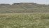 Saskatchewan conservationists suggest the government should place a moratorium on breaking any grassland until a policy for managing it can be developed. | photo Karen Briere
