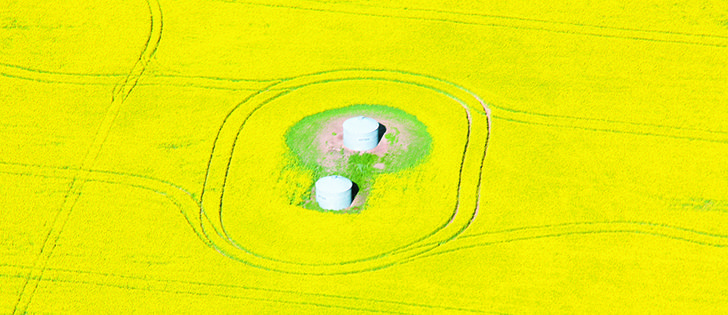 New seed and equipment technology and improved agronomic practices are boosting canola yields to new highs.  |  David Schritt Photo
