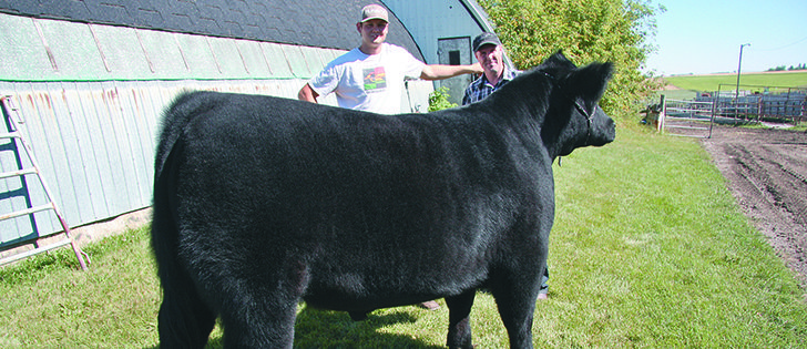Riley Chalack and Royden Anderson hold their disqualified Calgary Stampede winning steer.  They are waiting for results of their appeal.  |  Mary MacArthur photo
