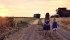 Picture submitted via Twitter by: Josh Umscheid @bigslicksprayin "@NicoleSask @westernproducer my favorite so far! #harvest13 pic.twitter.com/jDWFdud89c"