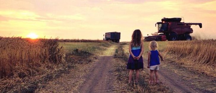 Picture submitted via Twitter by: Josh Umscheid @bigslicksprayin "@NicoleSask @westernproducer my favorite so far! #harvest13 pic.twitter.com/jDWFdud89c"
