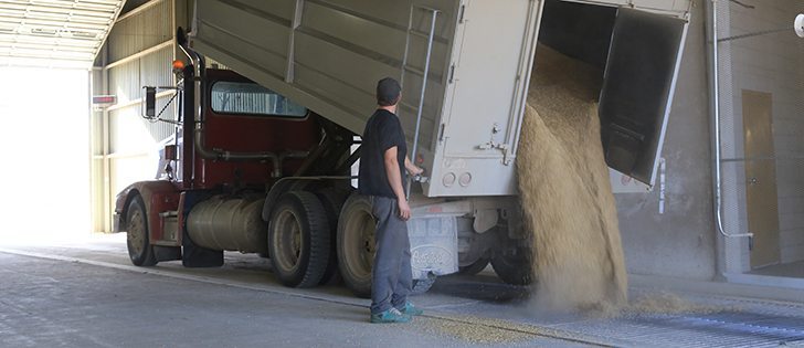 Many farmers have bigger than expected crops, have too little priced, and haven’t arranged delivery. | Robin Booker photo