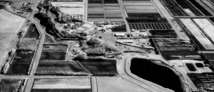 The shelterbelt centre in Indian Head, Sask., shown here in this archived photo, is looking for new owners.  |  File photo