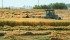 There was a bountiful oat harvest in Canada, but logistical problems are preventing deliveries and foiling efforts to capture strong cash bids and nearby futures. | file photo