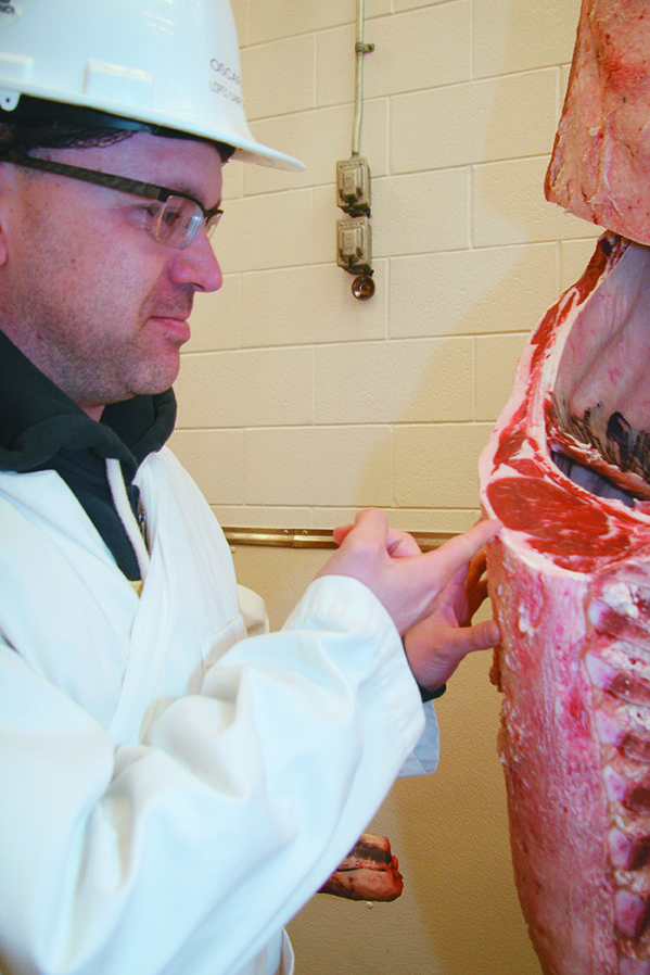 Food recalls are unfortunate but lead to changes in regulations and protocols in food handling that improve food safety.  |  File photo