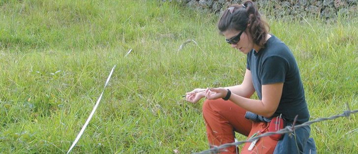 Kate Brauman at the University of Minnesota is leading a study on the relationship between crop yield and water use.  |  University of Minnesota photo