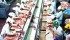 Food-borne illnesses can be caused by contamination occurring at any point in the chain from on-farm to slaughter to processing to how it is handled at home. | File Photo