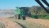 Farmers in many regions are anticipating big harvests, which could generate problems for storage, delivery and transportation. This crop is being taken off by Dennis Lang and Brian Rempel at Daoust Farms near Zenon Park, Sask. | Brian Rempel Photo
