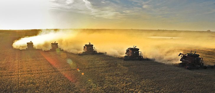 Finding buyers for a record wheat crop will be a challenge for farmers. | William DeKay photo